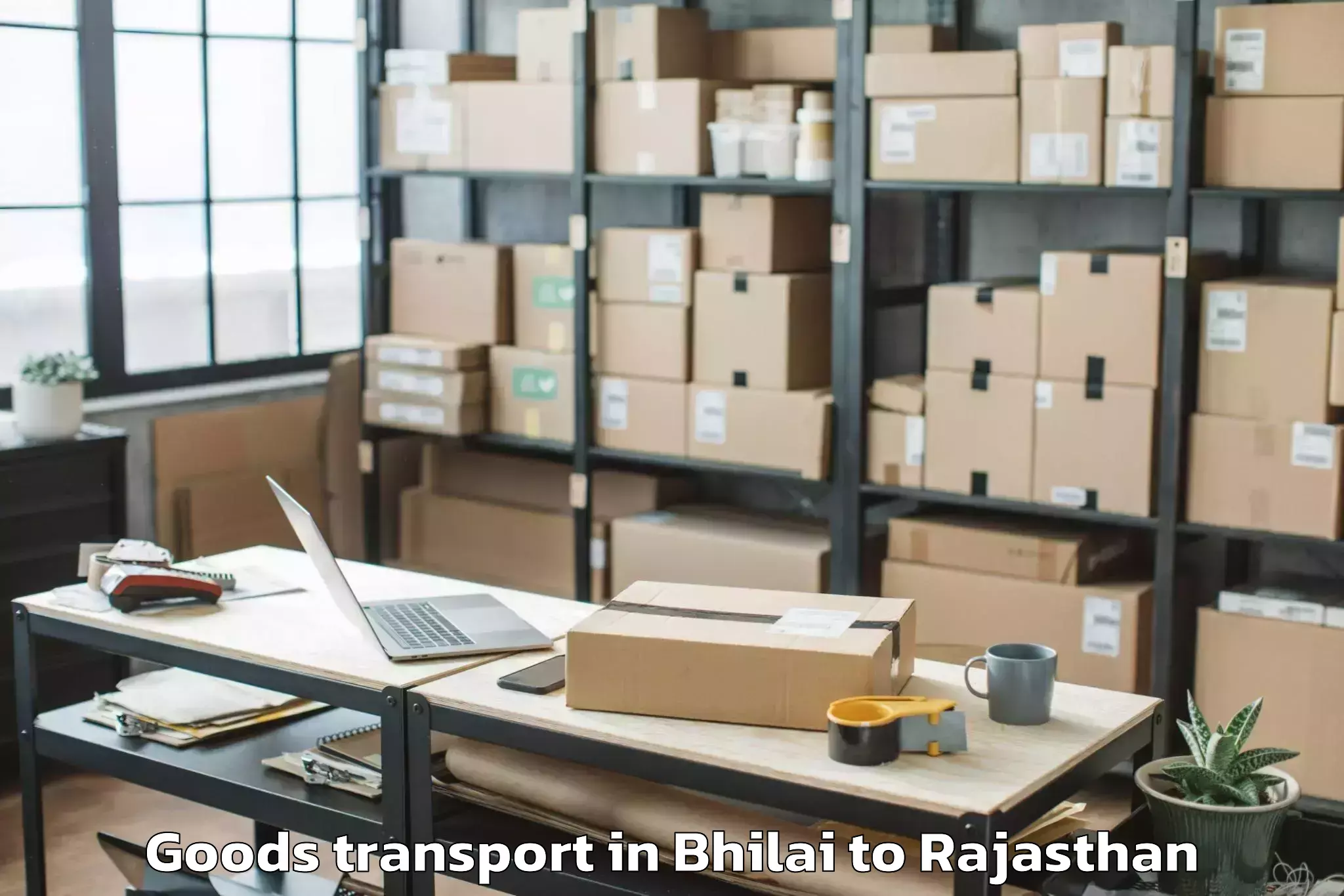 Book Your Bhilai to Ajeetgarh Goods Transport Today